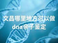 文昌哪里地方可以做dna亲子鉴定
