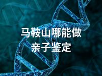 马鞍山哪能做亲子鉴定