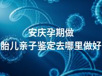安庆孕期做胎儿亲子鉴定去哪里做好