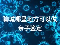 聊城哪里地方可以做亲子鉴定