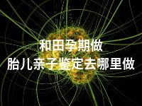 和田孕期做胎儿亲子鉴定去哪里做