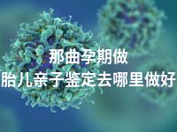 那曲孕期做胎儿亲子鉴定去哪里做好