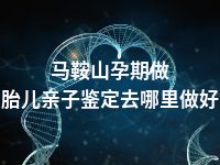 马鞍山孕期做胎儿亲子鉴定去哪里做好