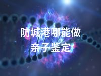 防城港哪能做亲子鉴定
