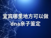 宜宾哪里地方可以做dna亲子鉴定