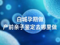 白城孕期做产前亲子鉴定去哪里做