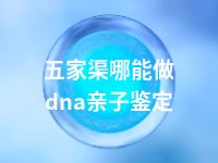 五家渠哪能做dna亲子鉴定