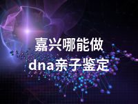 嘉兴哪能做dna亲子鉴定