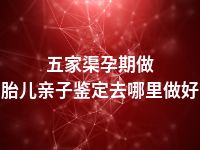 五家渠孕期做胎儿亲子鉴定去哪里做好