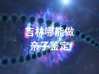 吉林哪能做亲子鉴定