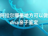 阿拉尔哪里地方可以做dna亲子鉴定