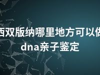 西双版纳哪里地方可以做dna亲子鉴定