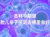 吉林孕期做胎儿亲子鉴定去哪里做好