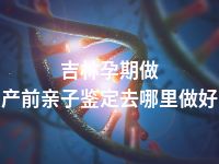 吉林孕期做产前亲子鉴定去哪里做好