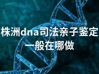 株洲dna司法亲子鉴定一般在哪做
