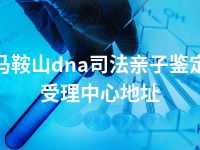 马鞍山dna司法亲子鉴定受理中心地址