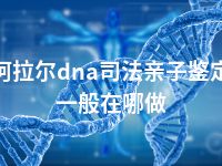 阿拉尔dna司法亲子鉴定一般在哪做
