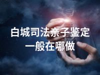 白城司法亲子鉴定一般在哪做