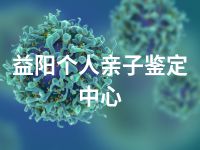 益阳个人亲子鉴定中心