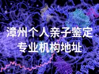 漳州个人亲子鉴定专业机构地址