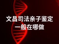 文昌司法亲子鉴定一般在哪做