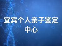 宜宾个人亲子鉴定中心