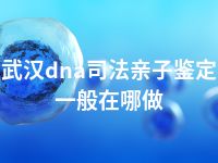 武汉dna司法亲子鉴定一般在哪做