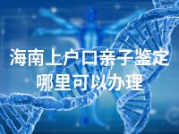 海南上户口亲子鉴定哪里可以办理