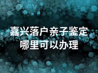 嘉兴落户亲子鉴定哪里可以办理