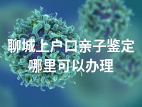 聊城上户口亲子鉴定哪里可以办理