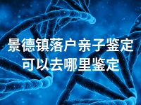 景德镇落户亲子鉴定可以去哪里鉴定