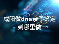 咸阳做dna亲子鉴定到哪里做