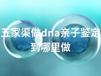 五家渠做dna亲子鉴定到哪里做