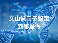 文山做亲子鉴定到哪里做