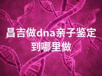 昌吉做dna亲子鉴定到哪里做