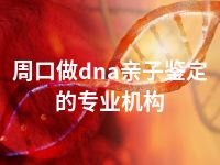 周口做dna亲子鉴定的专业机构