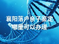 襄阳落户亲子鉴定哪里可以办理