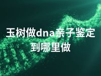 玉树做dna亲子鉴定到哪里做