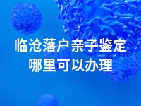 临沧落户亲子鉴定哪里可以办理