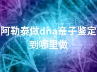 阿勒泰做dna亲子鉴定到哪里做