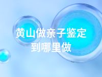 黄山做亲子鉴定到哪里做
