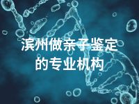 滨州做亲子鉴定的专业机构