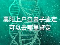 襄阳上户口亲子鉴定可以去哪里鉴定