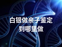 白银做亲子鉴定到哪里做