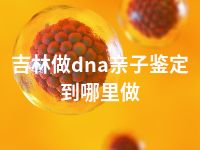 吉林做dna亲子鉴定到哪里做