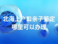 北海上户口亲子鉴定哪里可以办理