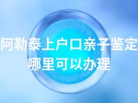 阿勒泰上户口亲子鉴定哪里可以办理