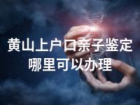 黄山上户口亲子鉴定哪里可以办理
