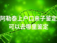 阿勒泰上户口亲子鉴定可以去哪里鉴定