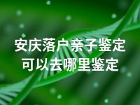 安庆落户亲子鉴定可以去哪里鉴定